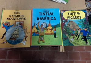 Conjunto de 8 livros, 3 do Tim Tim e 5 do Asterix