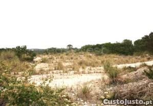 imagem_6