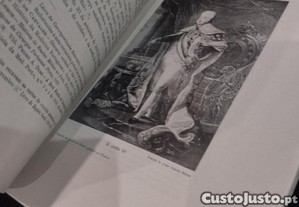 imagem_7
