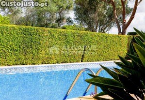 imagem_12