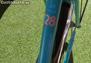imagem_7