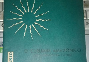O curumim amazónico por Maria Natividade Cortez Gomes.