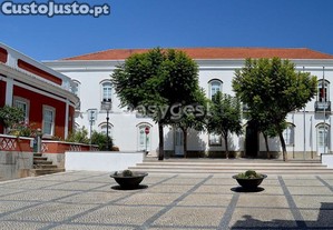 imagem_7