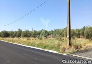 imagem_25