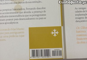 imagem_4