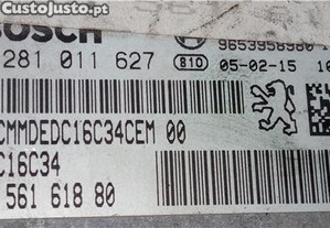 imagem_1