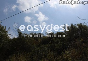 imagem_14
