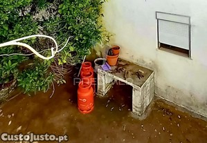 imagem_13
