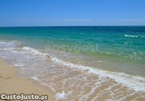 imagem_12