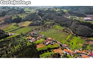 imagem_9