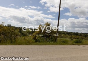imagem_3