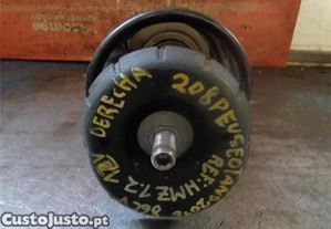 imagem_1