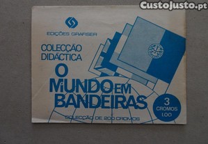 imagem_1