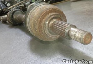 imagem_4