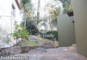 imagem_21