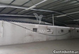 imagem_18