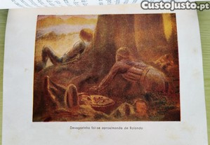 imagem_5