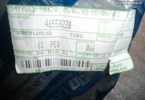 imagem_9