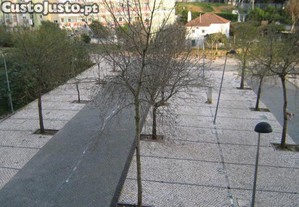 imagem_11