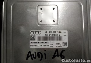 imagem_2
