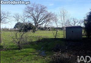 imagem_29