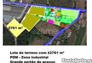 imagem_3