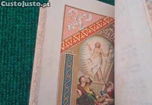 imagem_7