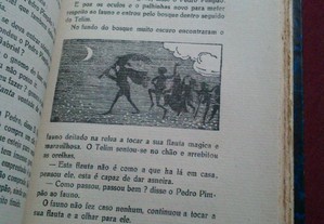 imagem_4