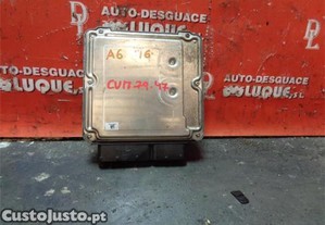 imagem_2
