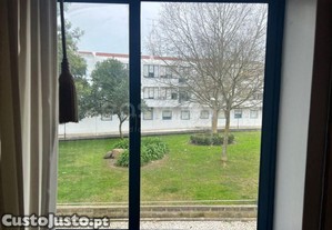 imagem_11