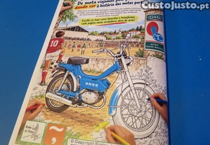 imagem_8