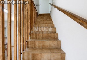 imagem_12