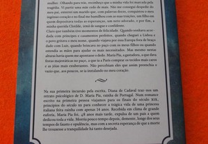 imagem_8
