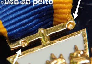 imagem_7