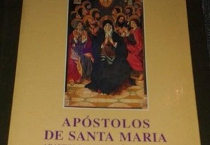Apóstolos de S. Maria, de Frei Hermano da Câmara.