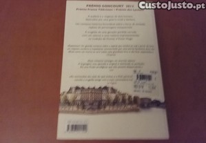 imagem_4