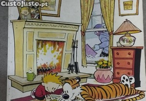 calvin e hobbes
