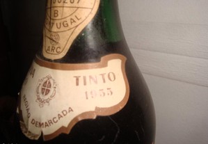 imagem_3