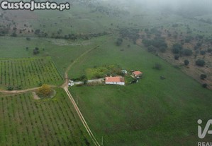 imagem_27