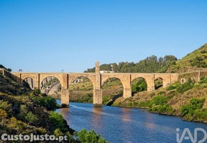imagem_29