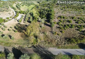 Terreno rústico com 15.530 m² em arneiro das milhariças
