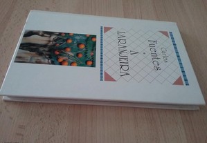 imagem_2