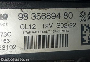 imagem_1