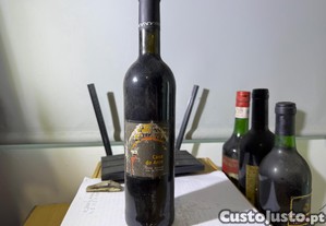 imagem_2