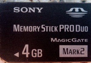 Memory Stick Sony 4 Giga.