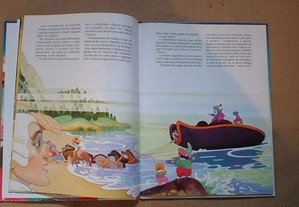 imagem_5