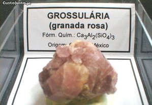 Grossulária (granada rosa) 2,5x6x6cm-cx