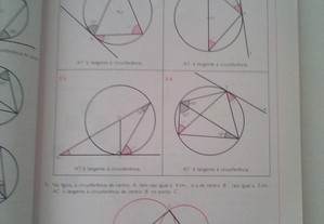 imagem_7