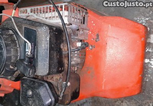 motor Briggs
