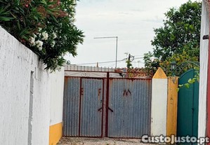 imagem_7